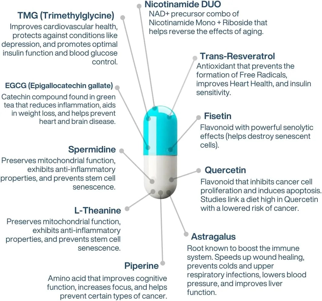 PERPETUA.LIFE AEON with Nicotinamide DUO® - Ingredients View