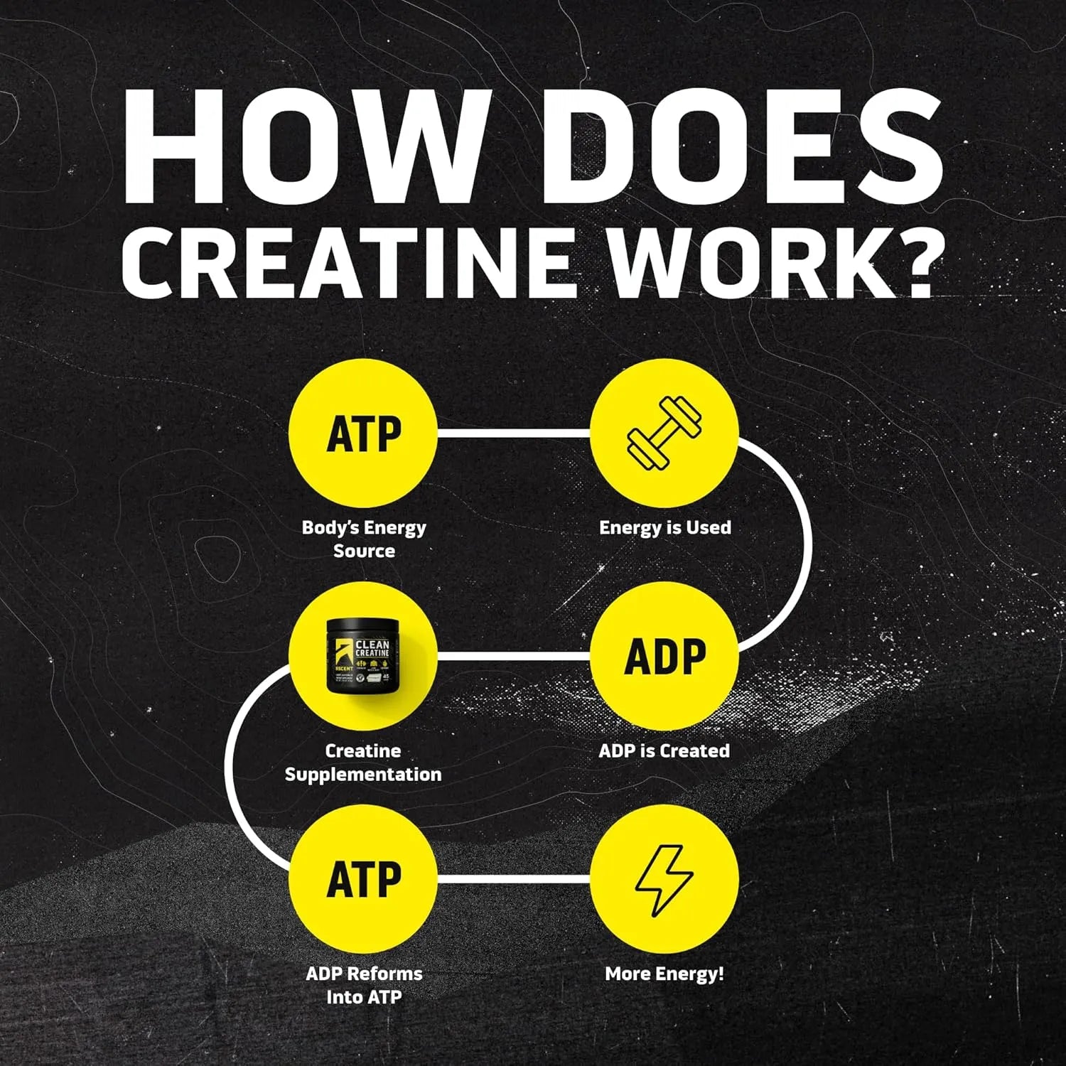 Small Brands Ascent Clean Creatine Monohydrate Powder - Angle View
